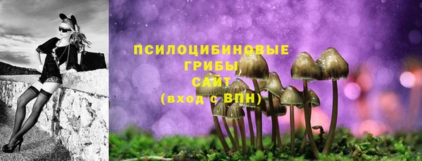 твердый Кинешма
