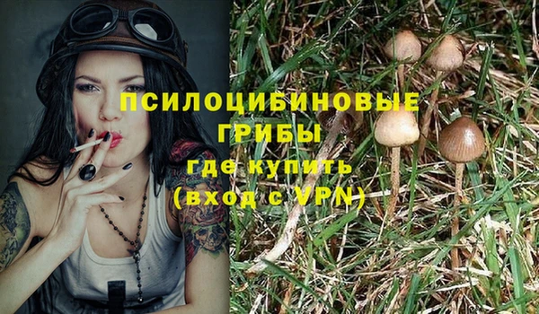 мяу мяу кристалл Корсаков